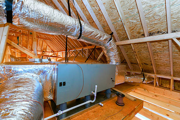 Top rated local Hvac Maintenance specialists in Lutz, FL